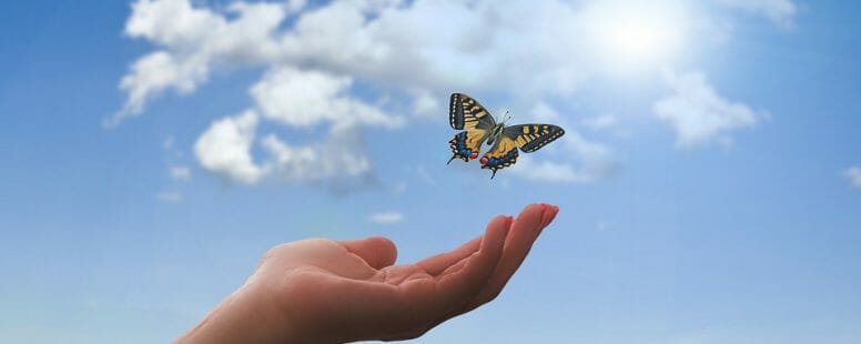 Record keeping in the cloud butterfly in hand image