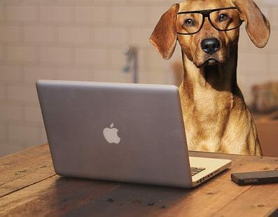 Budgeting & Setting Targets