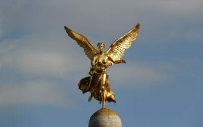 Your business numbers