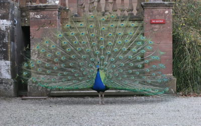 Tax & your self-employed business