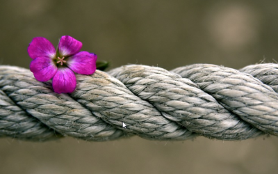 Information & business resilience