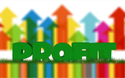 Profit & your business