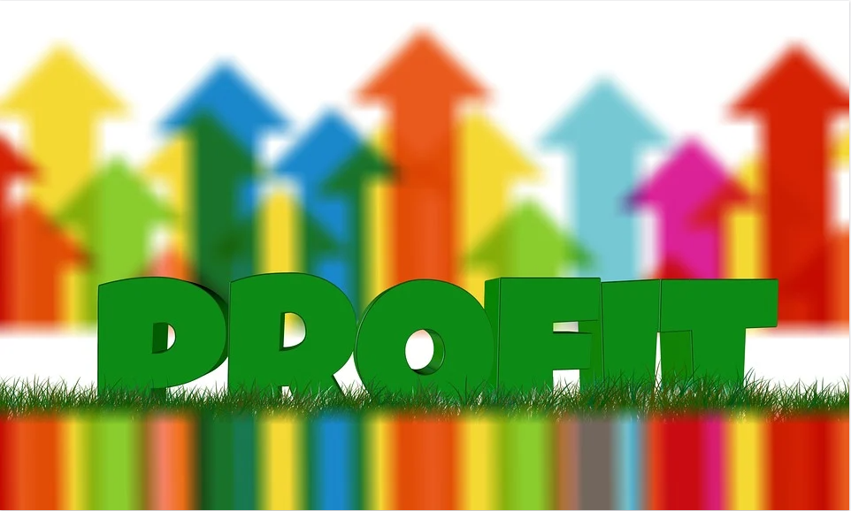 Profit & your business