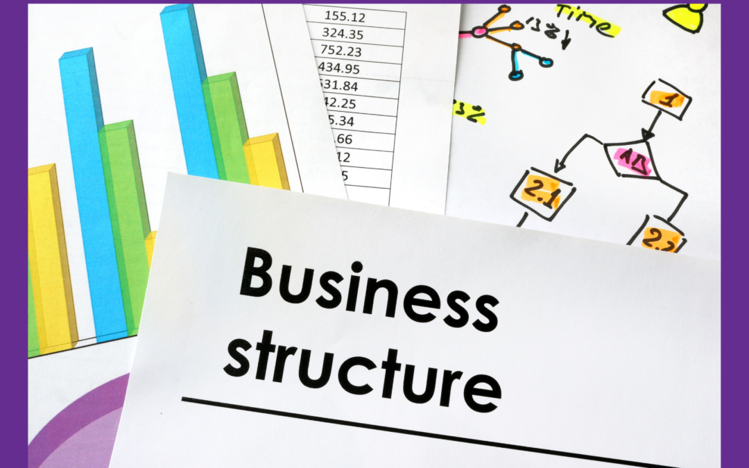 Should you be a sole trader or a company ?