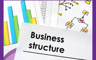 Sole trader or a company?