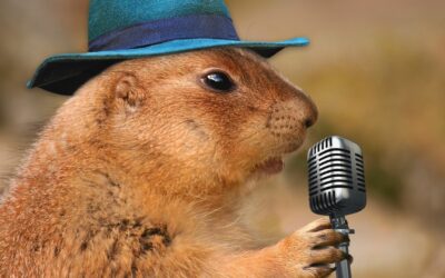 How to create your performance management system