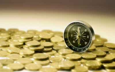 What is operational gearing