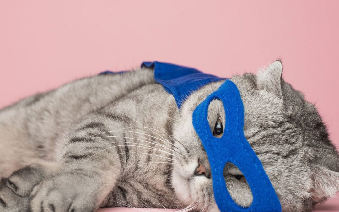 Taxable Benefits, Salaries And Dividends