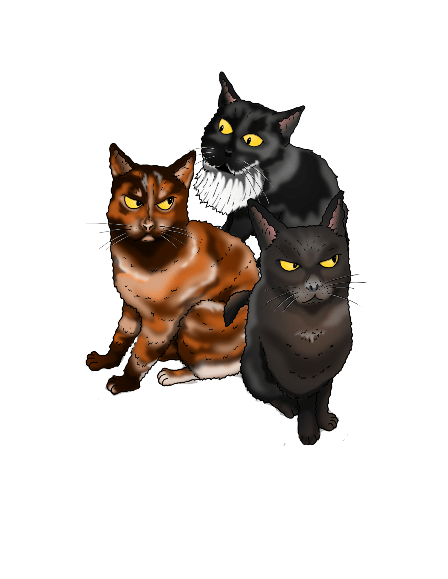 Scampi Sheba & Sherpa